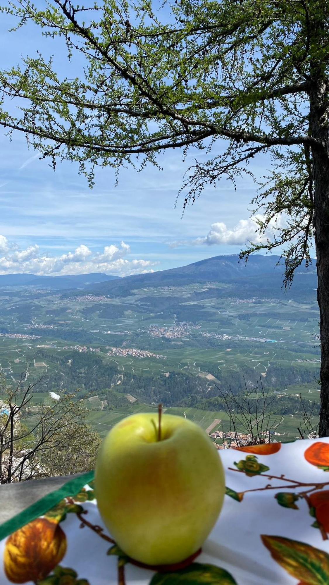 Вілла Agritur La Crucola Flavon Екстер'єр фото